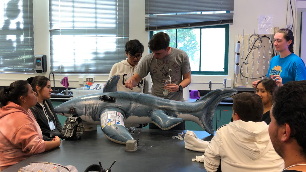Students are sitting in a lab and they are examining a balloon shark